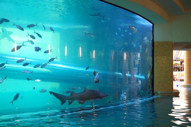 piscinas espectaculares